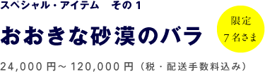 スペシャル・アイテム　その1 おおきな砂漠のバラ　24,000円～120,000円（税・配送手数料込み）【限定 7名さま】