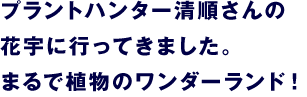 清順さんが植えにきてくれる、 樹齢200年のオリーブ！ スペシャル・アイテムを紹介します。