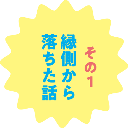 その１ 縁側から落ちた話