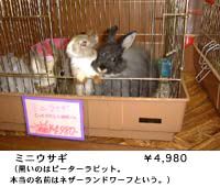 �~�j�E�T�M