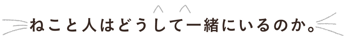 ねこと人はどうして一緒にいるのか。