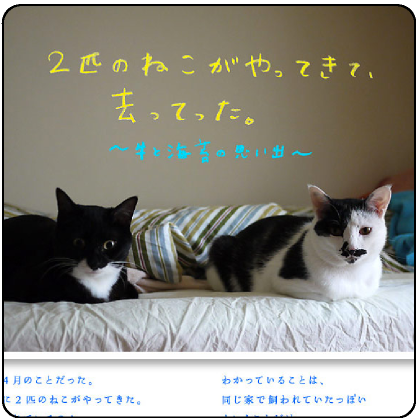 ２匹のねこがやって来て、去ってった。～牛と海苔の思い出～。