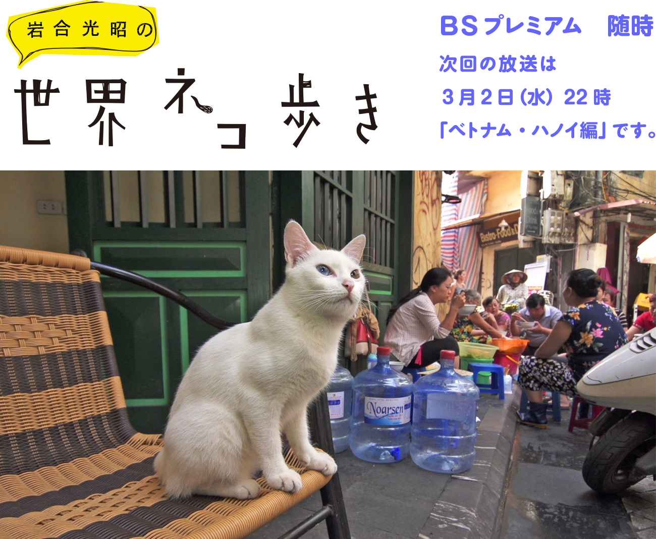 『岩合光昭の世界ネコ歩き』　BSプレミアム　随時 次回の放送は３月2日（水）22時「ハノイ編」です。