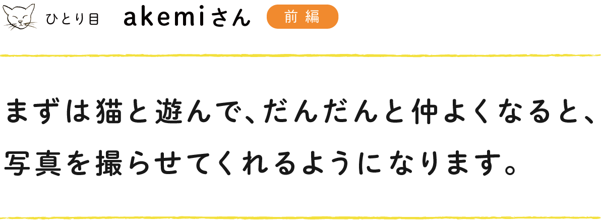 ひとり目：akemiさん（前編）
  まずは猫と遊んで、だんだんと仲よくなると、
  写真を撮らせてくれるようになります。