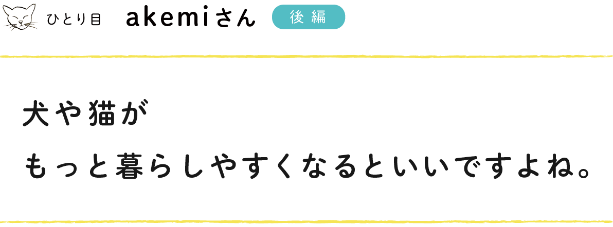 ひとり目：akemiさん（前編）
まずは猫と遊んで、だんだんと仲よくなると、
写真を撮らせてくれるようになります。