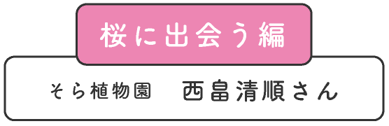 桜に出会う編　そら植物園　西畠清順さん