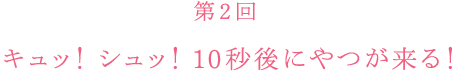 ぼくの7日間戦争、勃発。