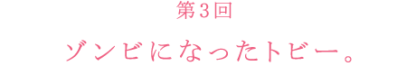 ぼくの7日間戦争、勃発。