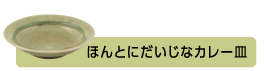 ほんとにだいじなカレー皿