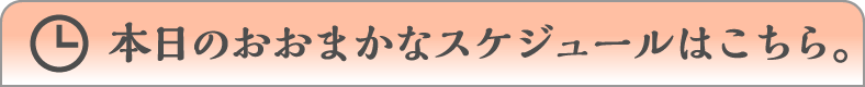 本日のおおまかなスケジュールはこちら