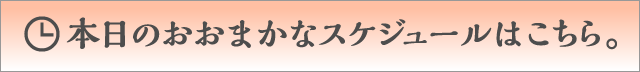 本日のおおまかなスケジュールはこちら