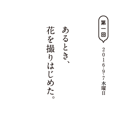 第一回　2016-9-7水曜日 あるとき、花を撮りはじめた。