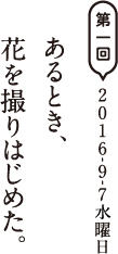 第一回　2016-9-7水曜日 あるとき、花を撮りはじめた。