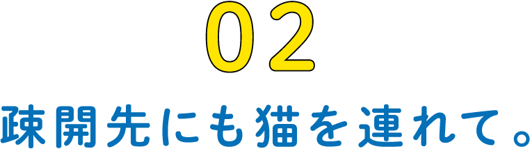 02 疎開先にも猫を連れて。