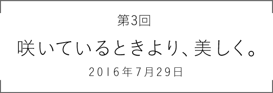 第3回 咲いているときより、美しく。2016年7月29日