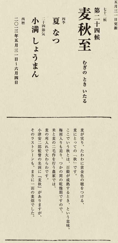 紅色の染料や食用油をとるために栽培されるベニバナは、 古代エジプト時代から染料として利用されていたようです。 日本でも、『万葉集』にすでに 「末摘花」としてその名が見られます。 この頃に橙色の花をつけはじめ、 日が経つにつれ花の色は濃い紅に変わります。 一面のベニバナ畑は夏の風物詩ともいえるでしょう。