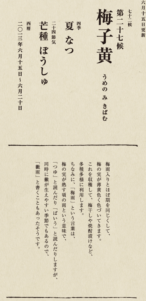 紅色の染料や食用油をとるために栽培されるベニバナは、 古代エジプト時代から染料として利用されていたようです。 日本でも、『万葉集』にすでに 「末摘花」としてその名が見られます。 この頃に橙色の花をつけはじめ、 日が経つにつれ花の色は濃い紅に変わります。 一面のベニバナ畑は夏の風物詩ともいえるでしょう。