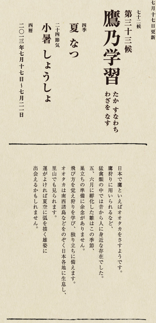 紅色の染料や食用油をとるために栽培されるベニバナは、 古代エジプト時代から染料として利用されていたようです。 日本でも、『万葉集』にすでに 「末摘花」としてその名が見られます。 この頃に橙色の花をつけはじめ、 日が経つにつれ花の色は濃い紅に変わります。 一面のベニバナ畑は夏の風物詩ともいえるでしょう。