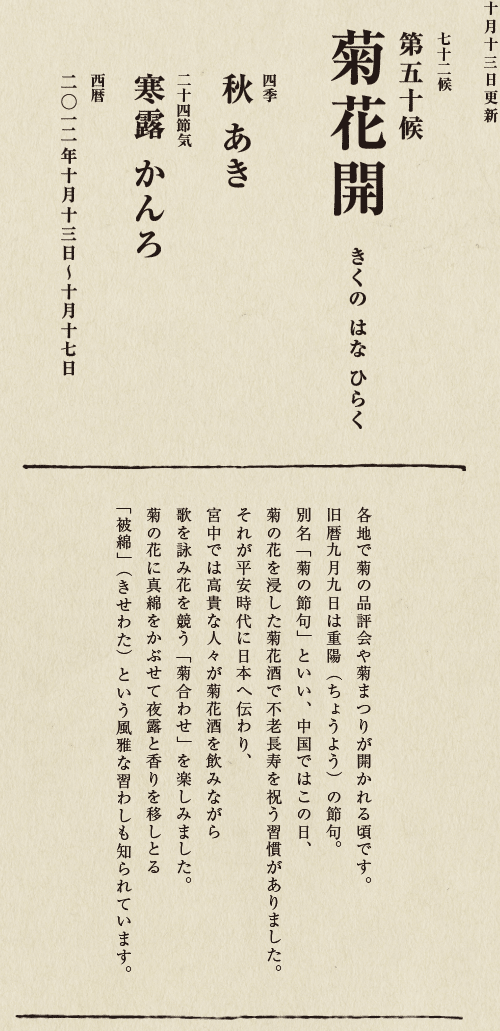 七十二候【第五十候　菊花開　きくの　はな　ひらく】

各地で菊の品評会や菊まつりが開かれる頃です。
旧暦九月九日は重陽（ちょうよう）の節句。
別名「菊の節句」といい、中国ではこの日、
菊の花を浸した菊花酒で不老長寿を祝う習慣がありました。
それが平安時代に日本へ伝わり、
宮中では高貴な人々が菊花酒を飲みながら
歌を詠み花を競う「菊合わせ」を楽しみました。
菊の花に真綿をかぶせて夜露と香りを移しとる
「被綿」（きせわた）という風雅な習わしも知られています。