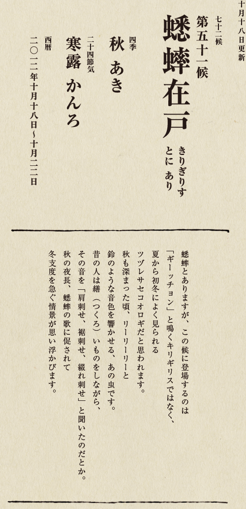 七十二候【第五十候　菊花開　きくの　はな　ひらく】

各地で菊の品評会や菊まつりが開かれる頃です。
旧暦九月九日は重陽（ちょうよう）の節句。
別名「菊の節句」といい、中国ではこの日、
菊の花を浸した菊花酒で不老長寿を祝う習慣がありました。
それが平安時代に日本へ伝わり、
宮中では高貴な人々が菊花酒を飲みながら
歌を詠み花を競う「菊合わせ」を楽しみました。
菊の花に真綿をかぶせて夜露と香りを移しとる
「被綿」（きせわた）という風雅な習わしも知られています。