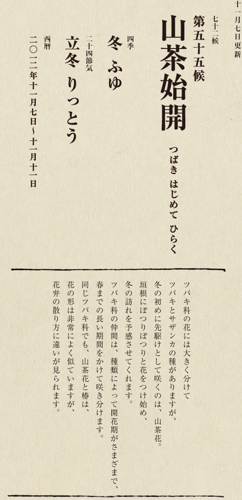 七十二候【第五十候　菊花開　きくの　はな　ひらく】

各地で菊の品評会や菊まつりが開かれる頃です。
旧暦九月九日は重陽（ちょうよう）の節句。
別名「菊の節句」といい、中国ではこの日、
菊の花を浸した菊花酒で不老長寿を祝う習慣がありました。
それが平安時代に日本へ伝わり、
宮中では高貴な人々が菊花酒を飲みながら
歌を詠み花を競う「菊合わせ」を楽しみました。
菊の花に真綿をかぶせて夜露と香りを移しとる
「被綿」（きせわた）という風雅な習わしも知られています。