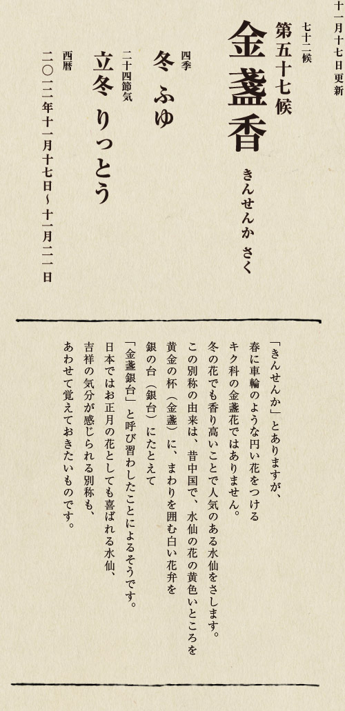 七十二候【第五十候　菊花開　きくの　はな　ひらく】

各地で菊の品評会や菊まつりが開かれる頃です。
旧暦九月九日は重陽（ちょうよう）の節句。
別名「菊の節句」といい、中国ではこの日、
菊の花を浸した菊花酒で不老長寿を祝う習慣がありました。
それが平安時代に日本へ伝わり、
宮中では高貴な人々が菊花酒を飲みながら
歌を詠み花を競う「菊合わせ」を楽しみました。
菊の花に真綿をかぶせて夜露と香りを移しとる
「被綿」（きせわた）という風雅な習わしも知られています。