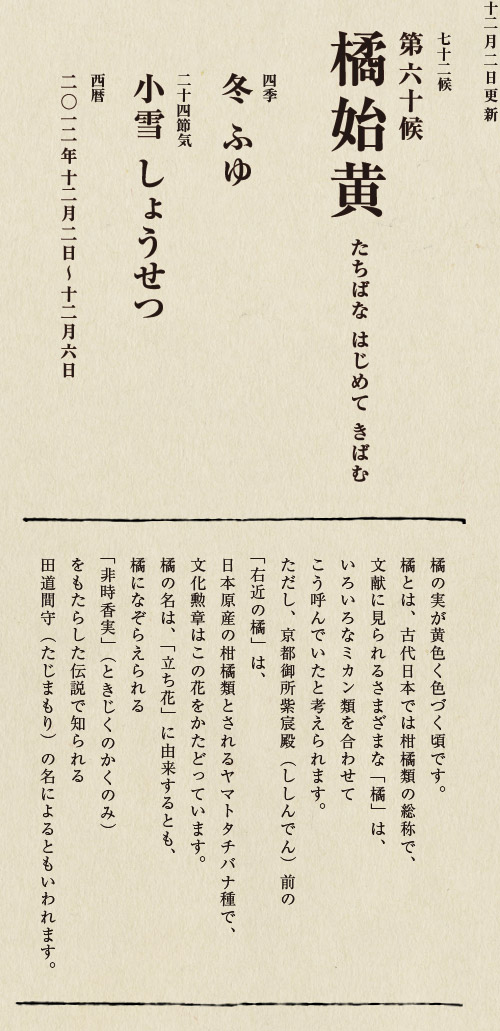 七十二候【第五十候　菊花開　きくの　はな　ひらく】

各地で菊の品評会や菊まつりが開かれる頃です。
旧暦九月九日は重陽（ちょうよう）の節句。
別名「菊の節句」といい、中国ではこの日、
菊の花を浸した菊花酒で不老長寿を祝う習慣がありました。
それが平安時代に日本へ伝わり、
宮中では高貴な人々が菊花酒を飲みながら
歌を詠み花を競う「菊合わせ」を楽しみました。
菊の花に真綿をかぶせて夜露と香りを移しとる
「被綿」（きせわた）という風雅な習わしも知られています。