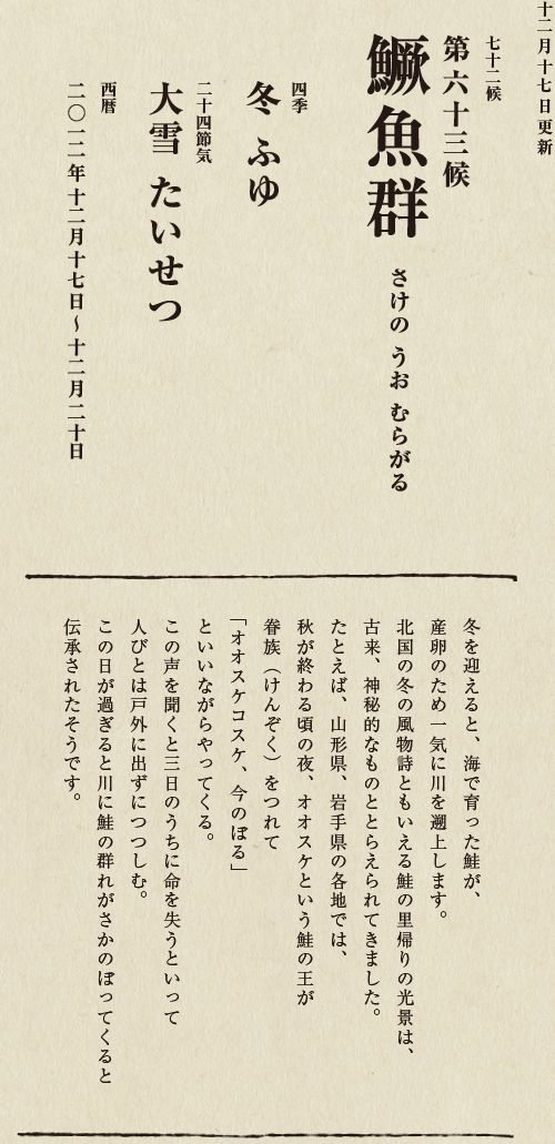 七十二候【第五十候　菊花開　きくの　はな　ひらく】

各地で菊の品評会や菊まつりが開かれる頃です。
旧暦九月九日は重陽（ちょうよう）の節句。
別名「菊の節句」といい、中国ではこの日、
菊の花を浸した菊花酒で不老長寿を祝う習慣がありました。
それが平安時代に日本へ伝わり、
宮中では高貴な人々が菊花酒を飲みながら
歌を詠み花を競う「菊合わせ」を楽しみました。
菊の花に真綿をかぶせて夜露と香りを移しとる
「被綿」（きせわた）という風雅な習わしも知られています。