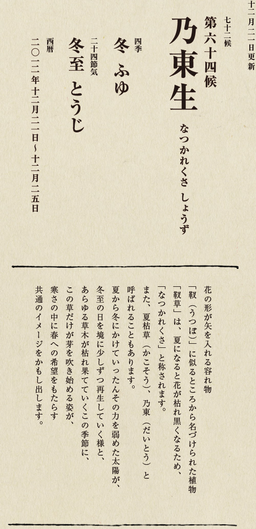 七十二候【第五十候　菊花開　きくの　はな　ひらく】

各地で菊の品評会や菊まつりが開かれる頃です。
旧暦九月九日は重陽（ちょうよう）の節句。
別名「菊の節句」といい、中国ではこの日、
菊の花を浸した菊花酒で不老長寿を祝う習慣がありました。
それが平安時代に日本へ伝わり、
宮中では高貴な人々が菊花酒を飲みながら
歌を詠み花を競う「菊合わせ」を楽しみました。
菊の花に真綿をかぶせて夜露と香りを移しとる
「被綿」（きせわた）という風雅な習わしも知られています。