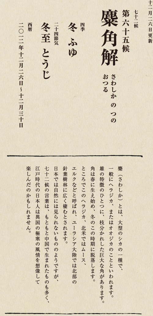 七十二候【第五十候　菊花開　きくの　はな　ひらく】

各地で菊の品評会や菊まつりが開かれる頃です。
旧暦九月九日は重陽（ちょうよう）の節句。
別名「菊の節句」といい、中国ではこの日、
菊の花を浸した菊花酒で不老長寿を祝う習慣がありました。
それが平安時代に日本へ伝わり、
宮中では高貴な人々が菊花酒を飲みながら
歌を詠み花を競う「菊合わせ」を楽しみました。
菊の花に真綿をかぶせて夜露と香りを移しとる
「被綿」（きせわた）という風雅な習わしも知られています。