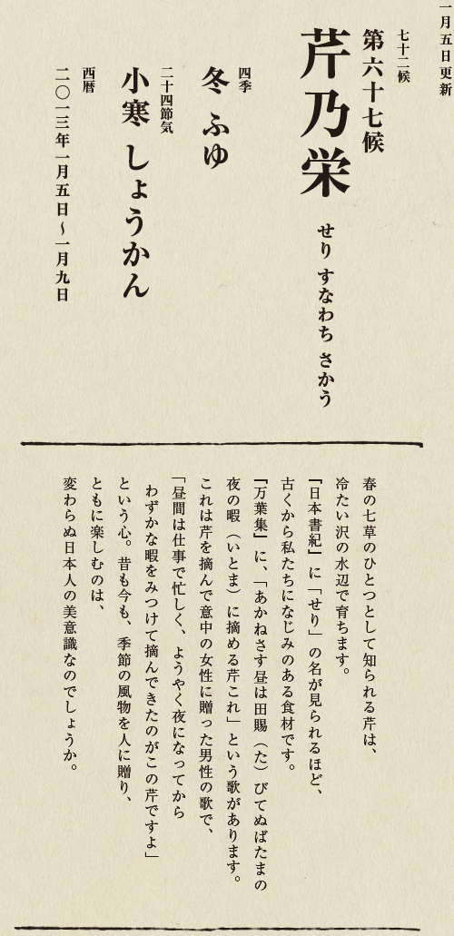 七十二候【第五十候　菊花開　きくの　はな　ひらく】

各地で菊の品評会や菊まつりが開かれる頃です。
旧暦九月九日は重陽（ちょうよう）の節句。
別名「菊の節句」といい、中国ではこの日、
菊の花を浸した菊花酒で不老長寿を祝う習慣がありました。
それが平安時代に日本へ伝わり、
宮中では高貴な人々が菊花酒を飲みながら
歌を詠み花を競う「菊合わせ」を楽しみました。
菊の花に真綿をかぶせて夜露と香りを移しとる
「被綿」（きせわた）という風雅な習わしも知られています。