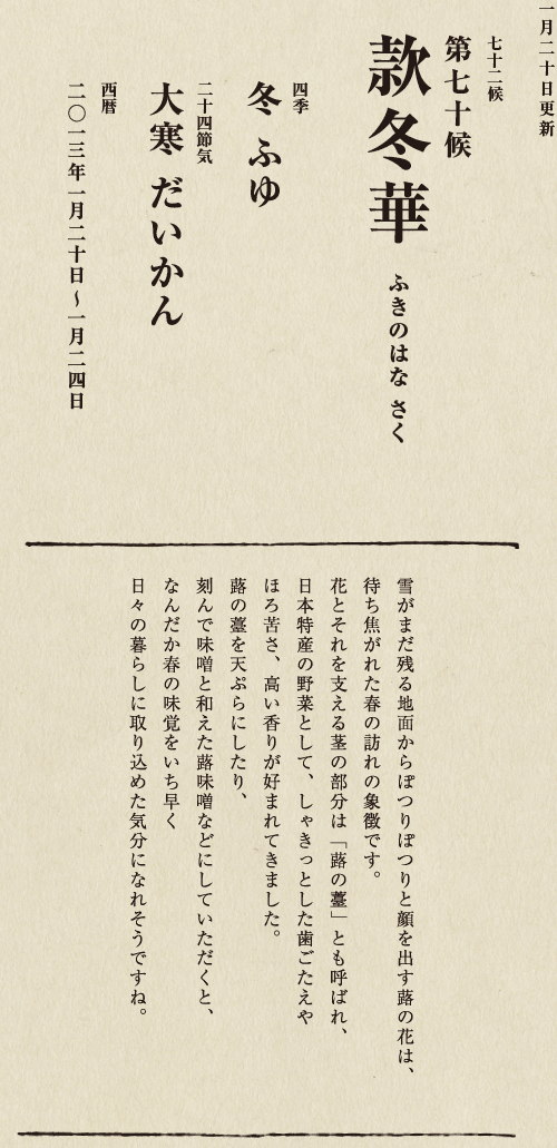 七十二候【第五十候　菊花開　きくの　はな　ひらく】

各地で菊の品評会や菊まつりが開かれる頃です。
旧暦九月九日は重陽（ちょうよう）の節句。
別名「菊の節句」といい、中国ではこの日、
菊の花を浸した菊花酒で不老長寿を祝う習慣がありました。
それが平安時代に日本へ伝わり、
宮中では高貴な人々が菊花酒を飲みながら
歌を詠み花を競う「菊合わせ」を楽しみました。
菊の花に真綿をかぶせて夜露と香りを移しとる
「被綿」（きせわた）という風雅な習わしも知られています。