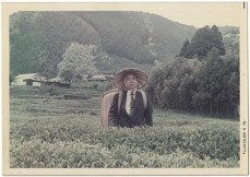 「うおがし銘茶」の歴史