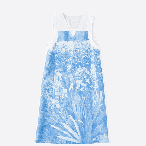 菖蒲のレースのワンピース