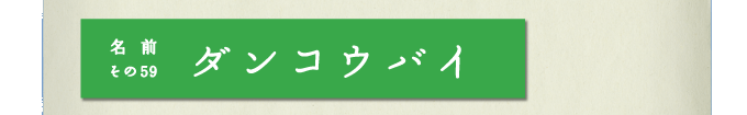 名前その59　ダンコウバイ