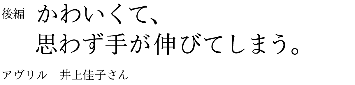 後編　かわいくて、思わず手が伸びてしまう。 アヴリル　井上佳子さん