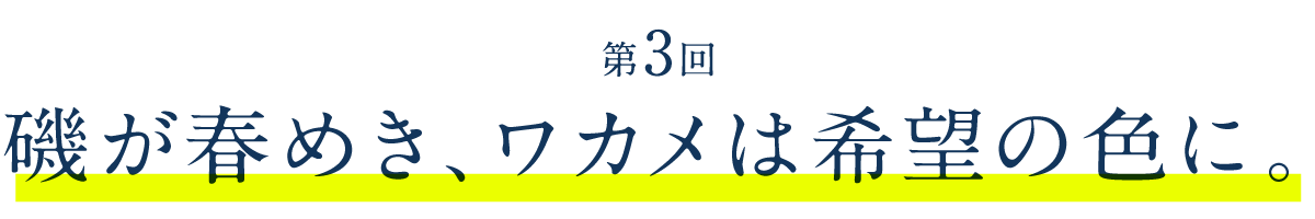 第３回　磯が春めき、ワカメは希望の色に。