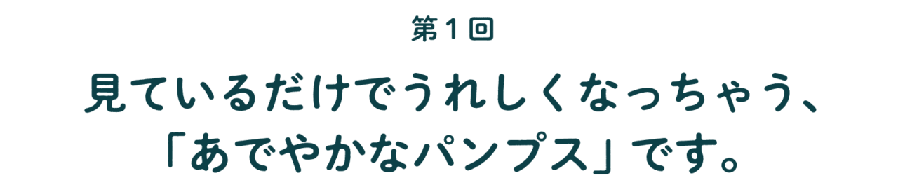 第1回 見ているだけでうれしくなっちゃう、 「あでやかなパンプス」です。