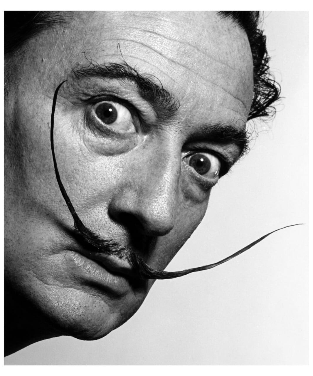 サルバドール・ダリ Salvador Dalí 1954（Photo by Philippe Halsman © The Philippe Halsman Archive）