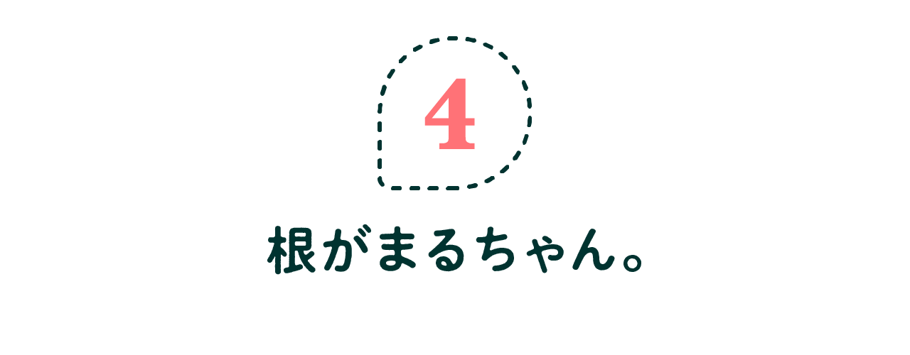 第4回 根がまるちゃん。