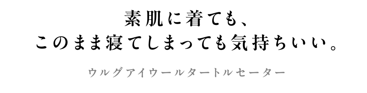 次ページイメージ