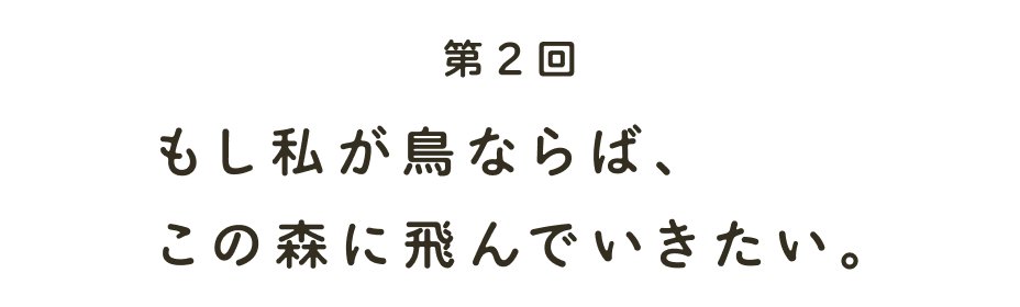 第２回 もし私が鳥ならば、この森に飛んでいきたい。