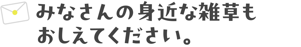 雑草部へのお便りをご紹介します。〜みなさんの身近な雑草もおしえてください。〜