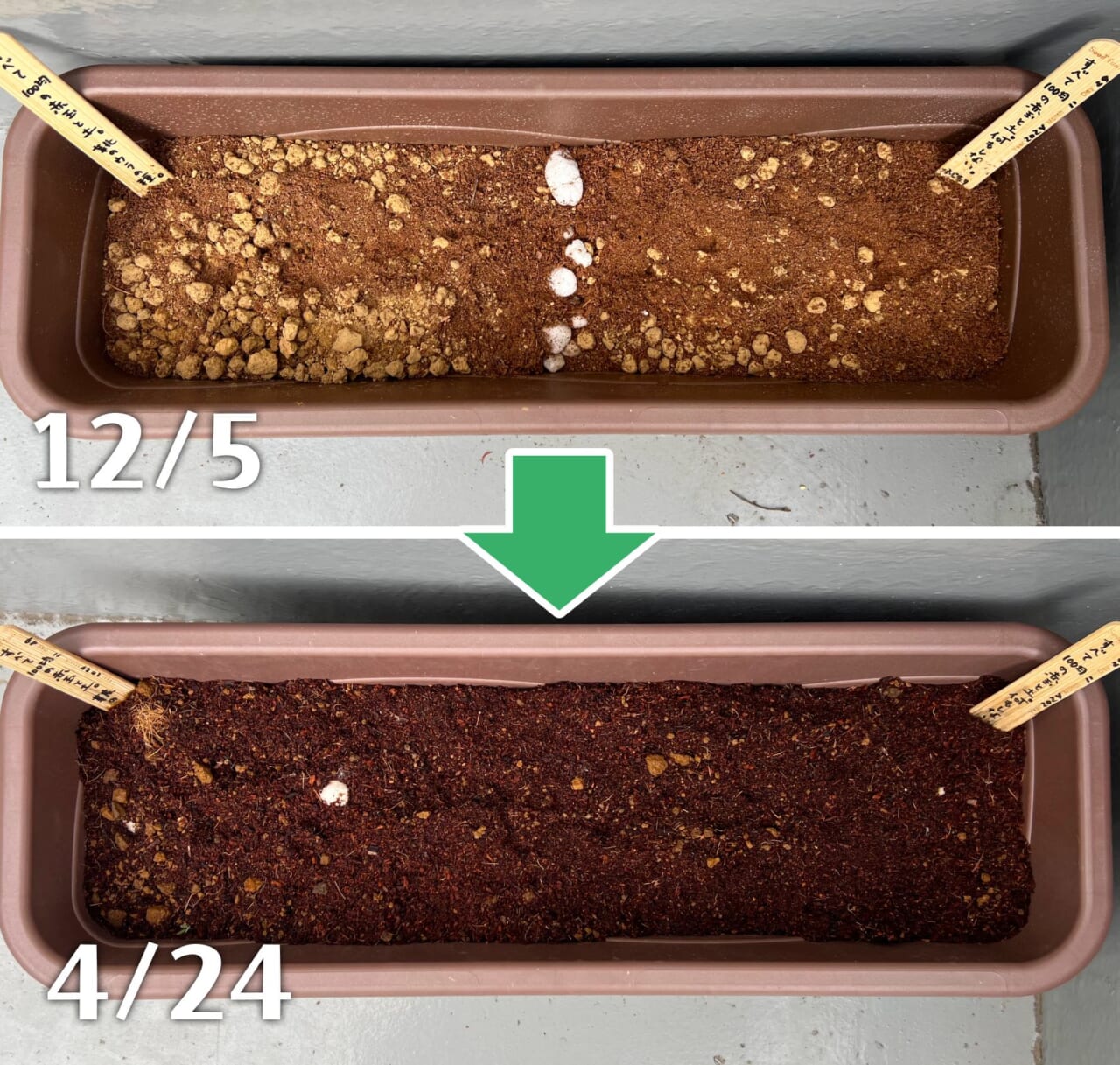 ふじもりの雑草プランター