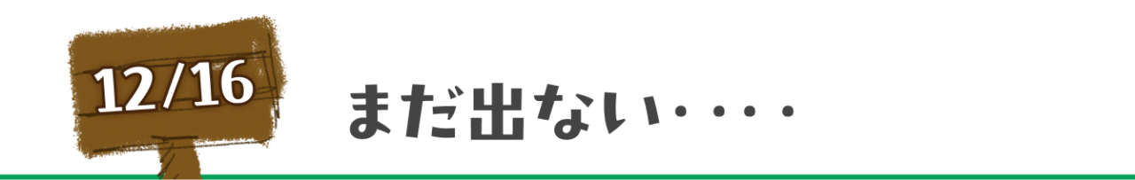 12月16日　まだ出ない‥‥