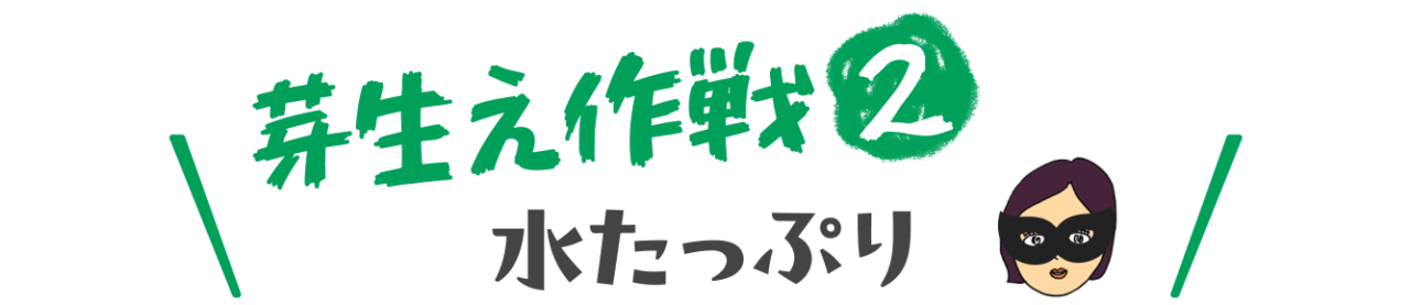 芽生え作戦②　水たっぷり 