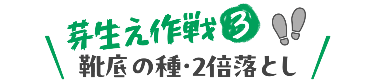 芽生え作戦③　靴底の種・２倍落とし