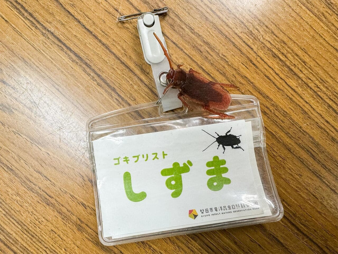 後日メールで送っていただいたゴキブリストの名札。
