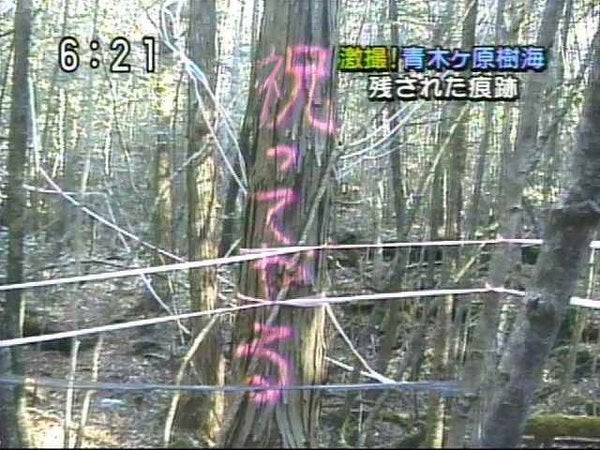 インターネットより