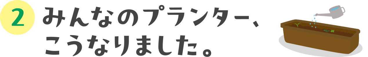 雑草プランターに芽が出た！編：02 みんなのプランター、こうなりました。